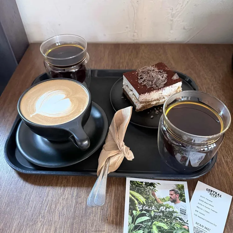 센트럴사이트 사진