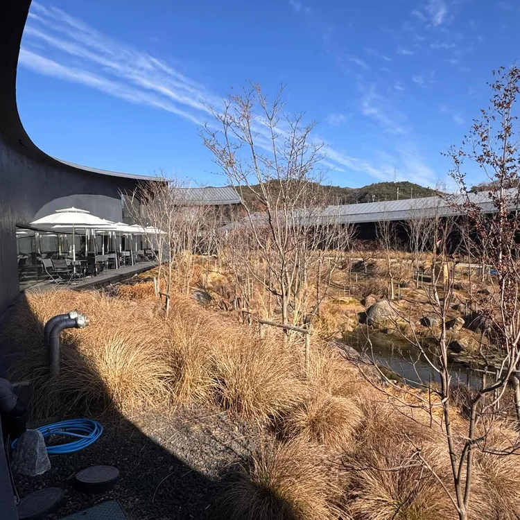 시호재&시차 사진