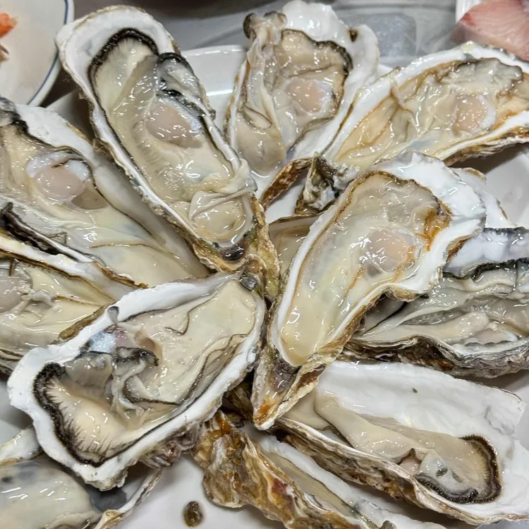 오메가메 대표 사진