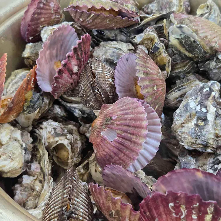 가보세 대표 사진