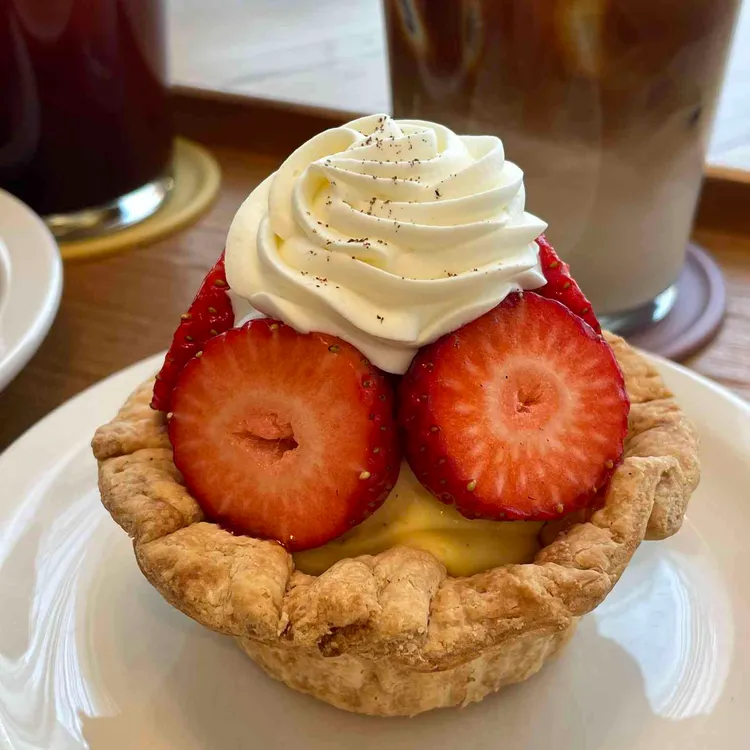 321베렌도 대표 사진