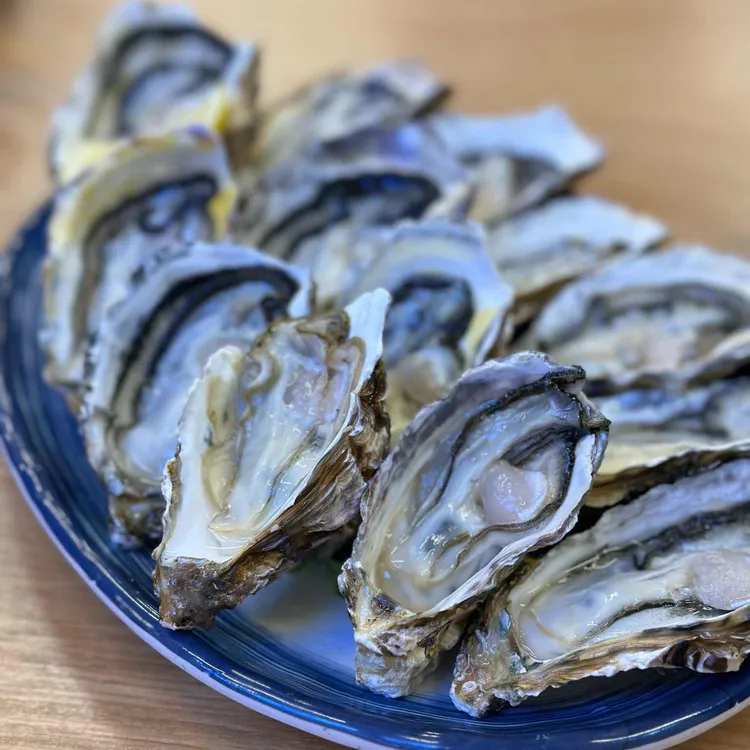 활어회담 대표 사진