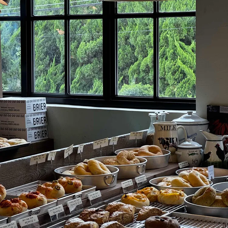 브리에브레드 사진