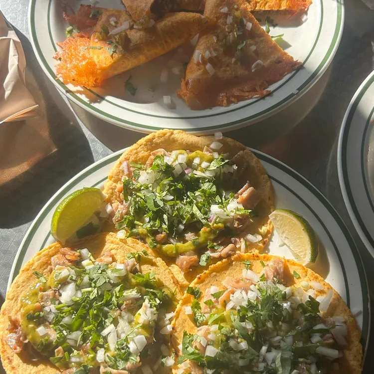 크리스피 포크 타운 사진