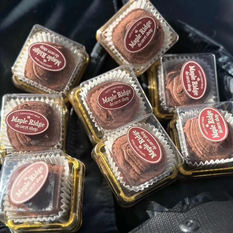 메이플릿지 대표 사진