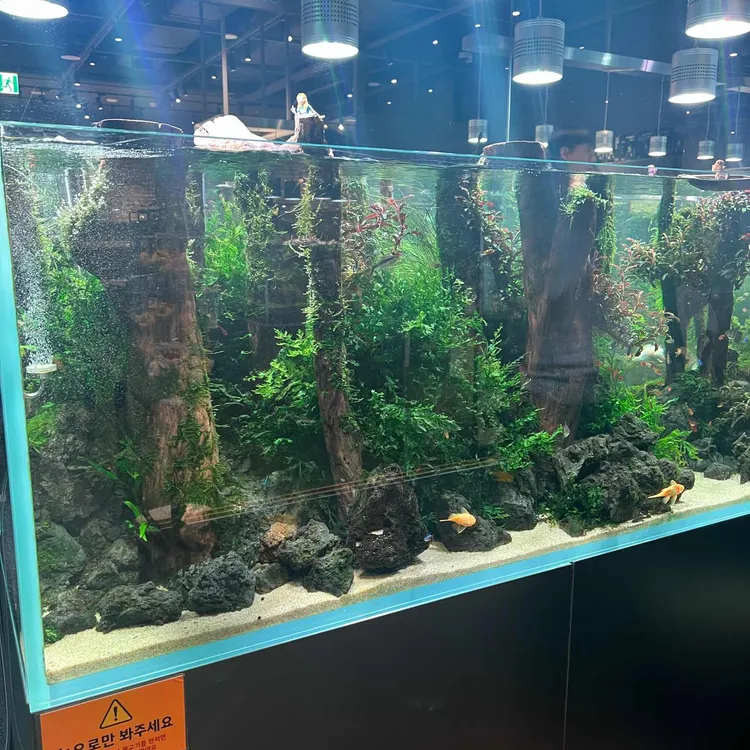 아쿠아가든카페 사진