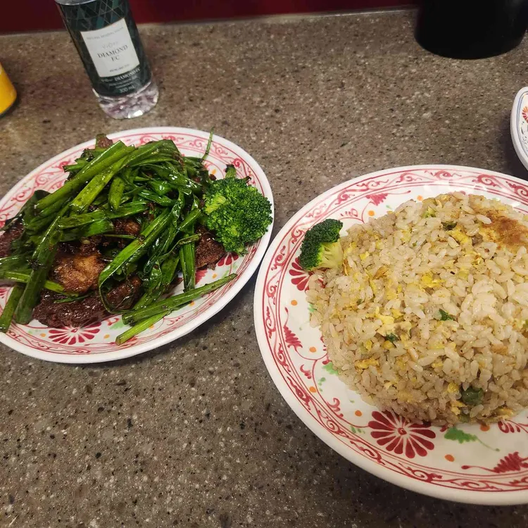 플라잉 드래곤 사진