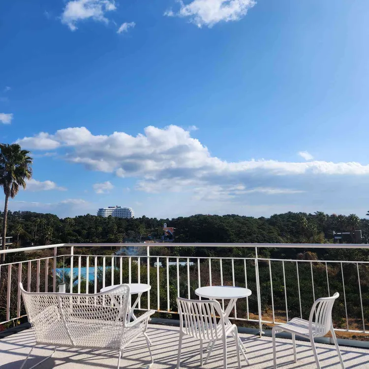 오리너구리 대표 사진