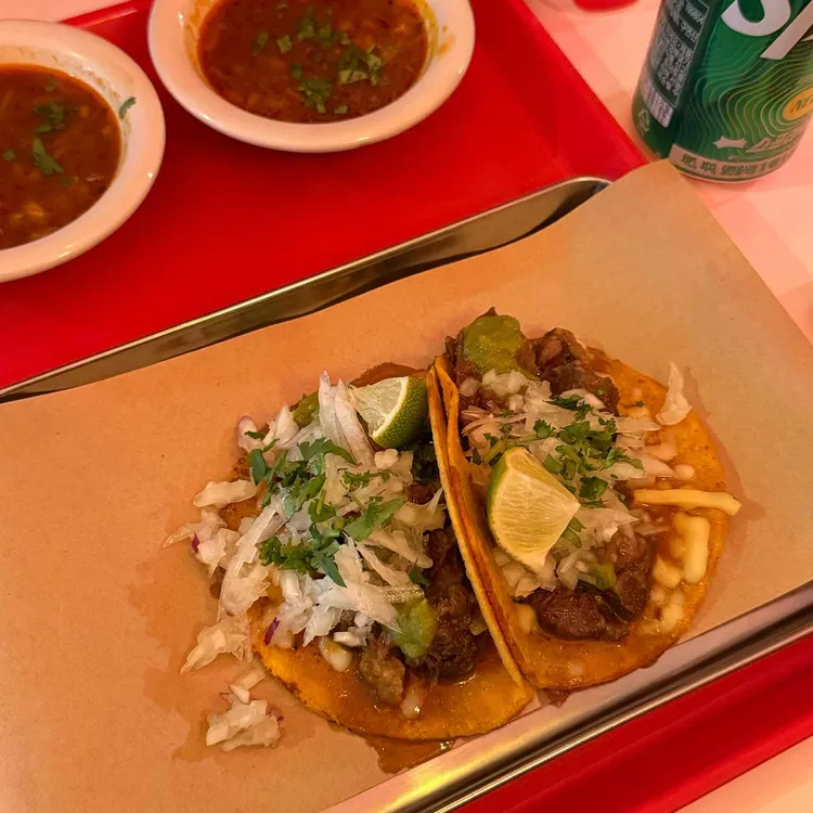 타코 비리아 사진