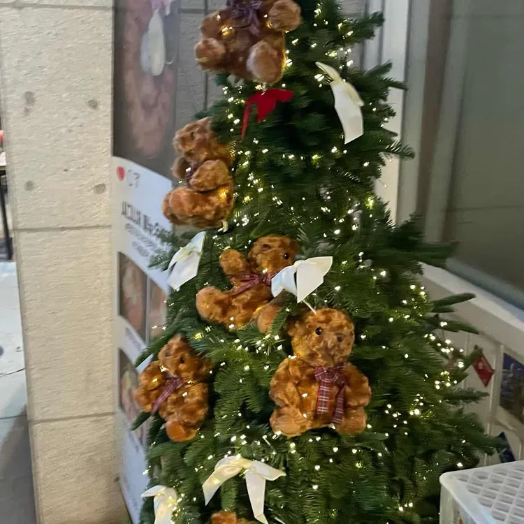 모미지가리 대표 사진