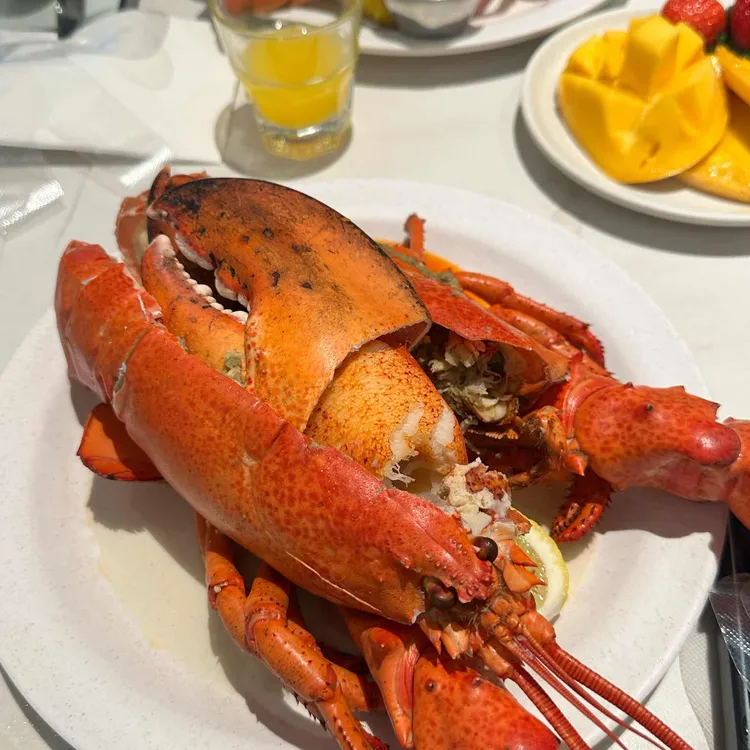 바이킹스워프 사진