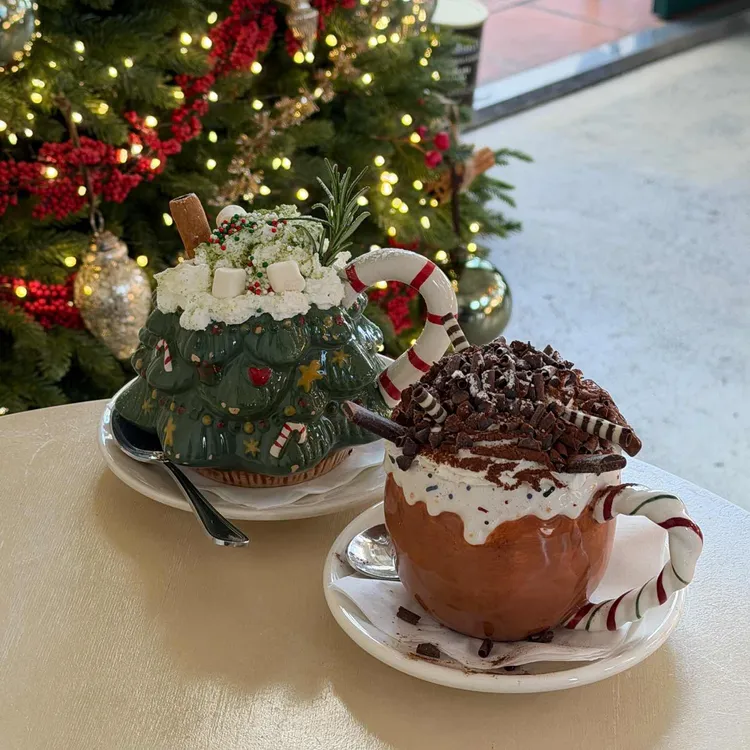 컵오브조이 사진