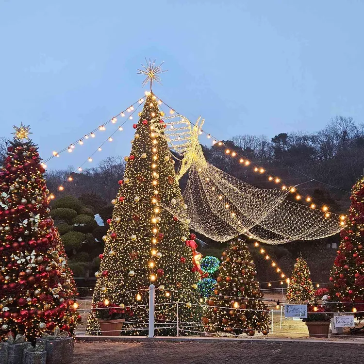 카페 드 첼시 사진