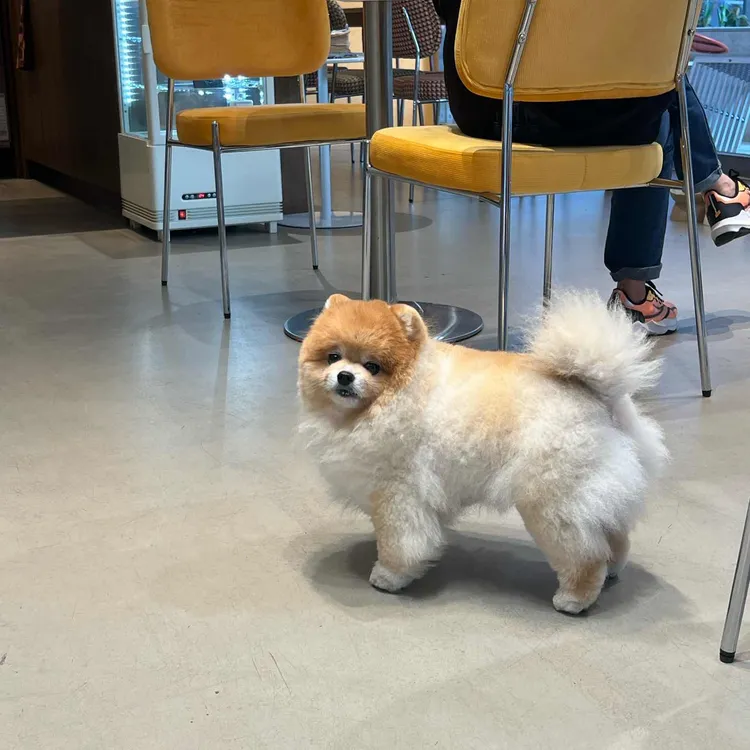 크레마일 대표 사진