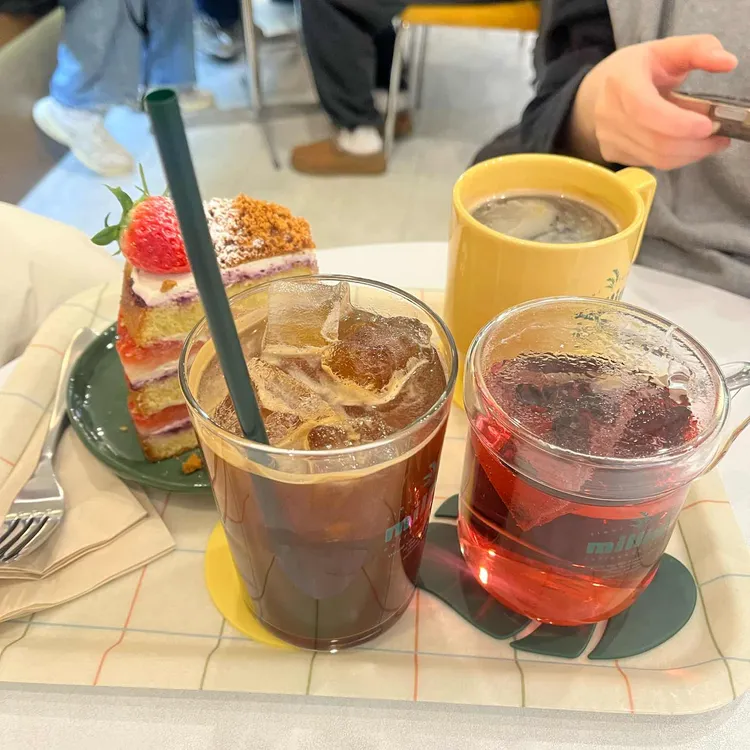 밀림 대표 사진