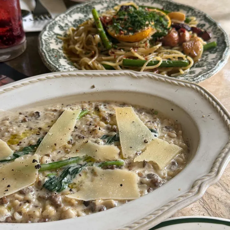 꽁티드툴레아 사진