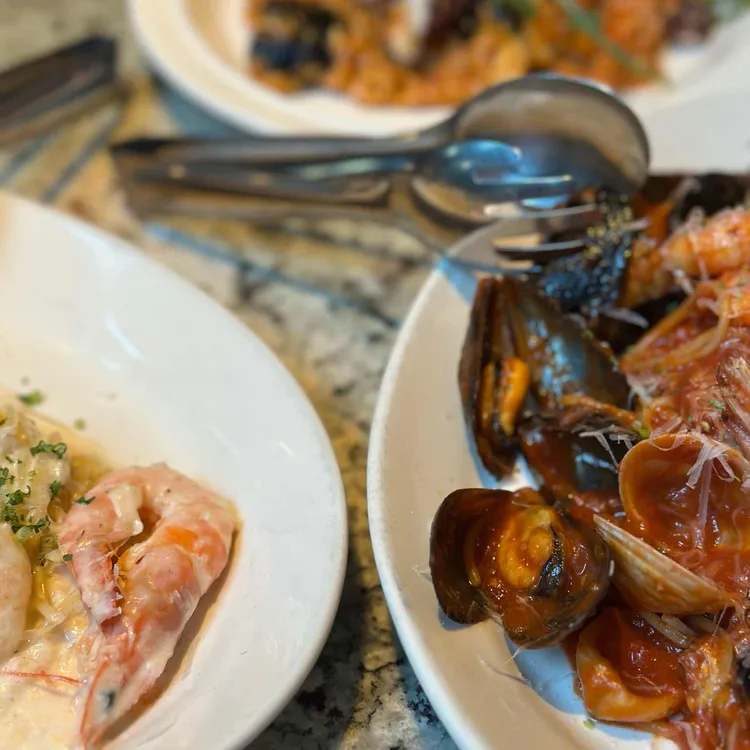 마노디셰프 사진