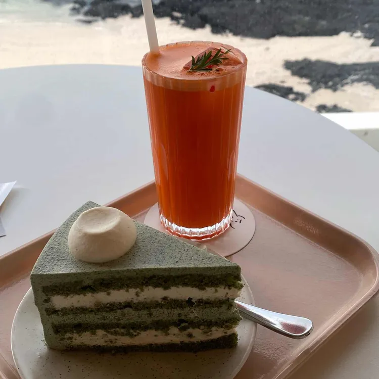 비수기애호가 사진