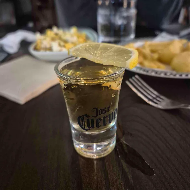 단비어 대표 사진