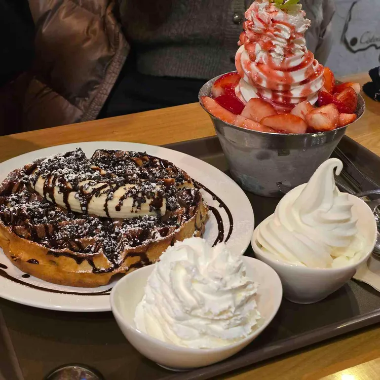 아이스베리 사진