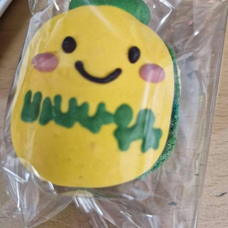 도레도레 대표 사진