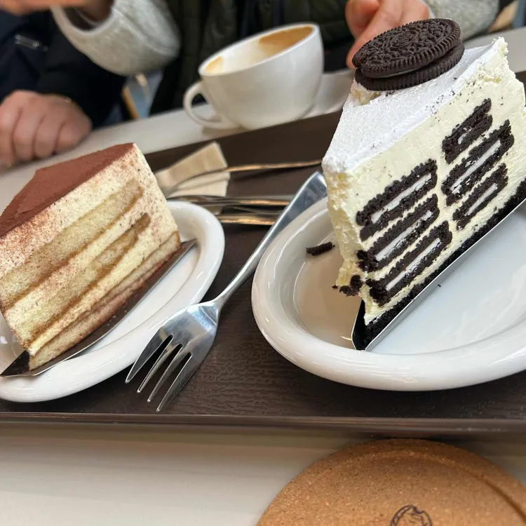 앵무새카페 버드앓이 대표 사진