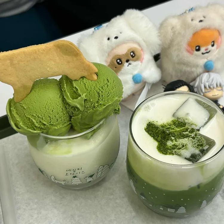 데일리오아시스 사진