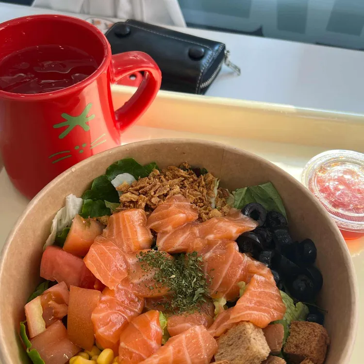 포케담다 대표 사진