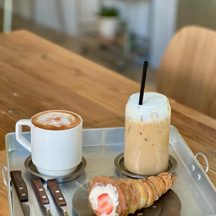 단델리온 대표 사진