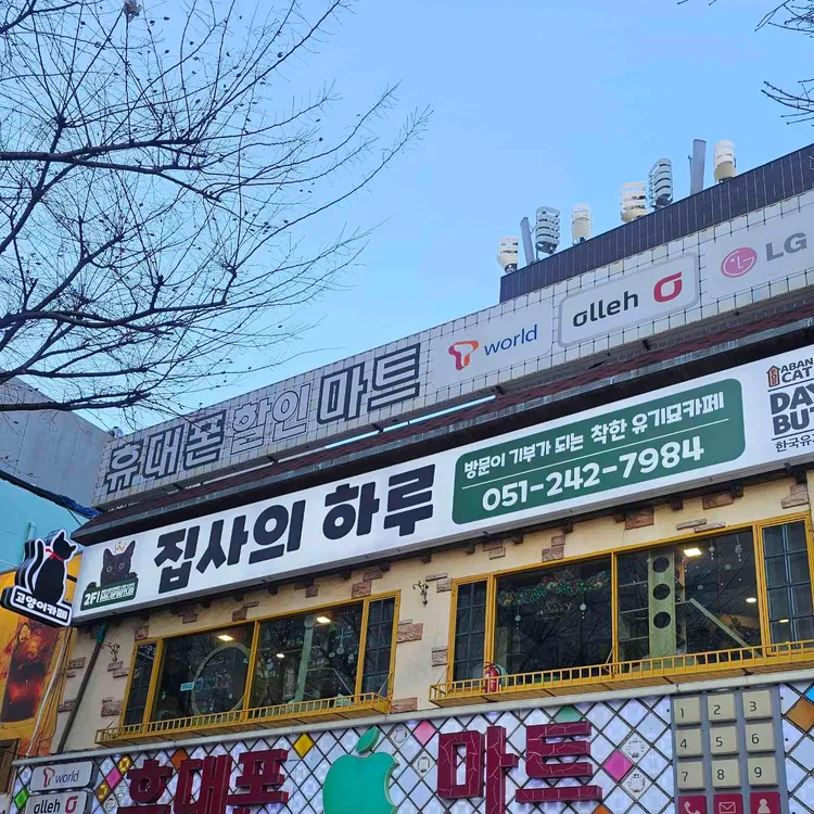 집사의하루 대표 사진