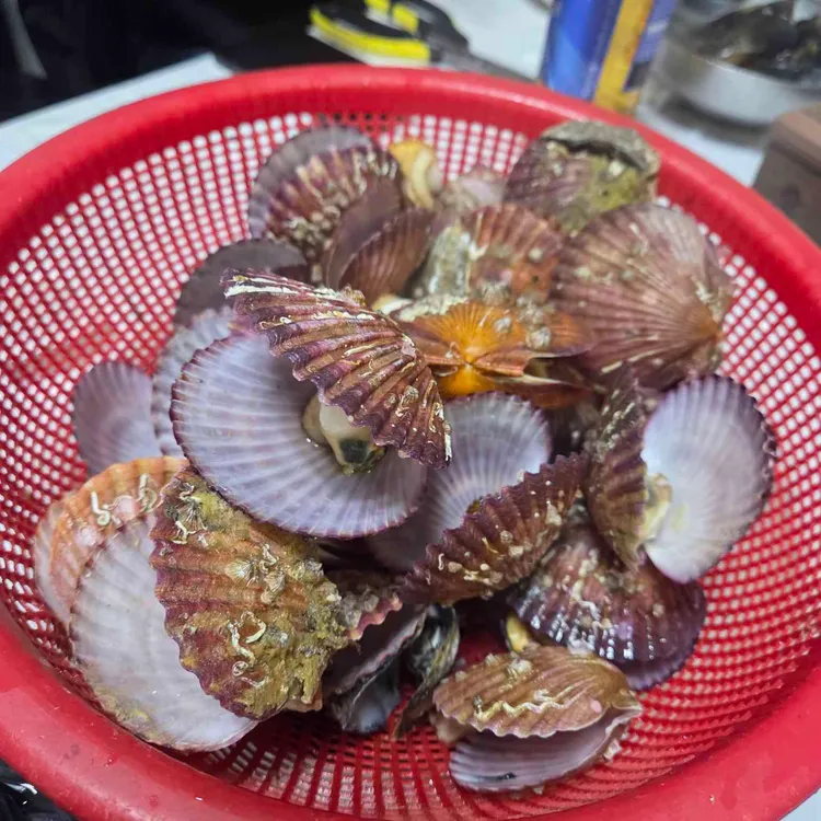 삭금쭈꾸미 대표 사진