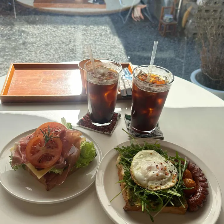 고냅브로시스 사진