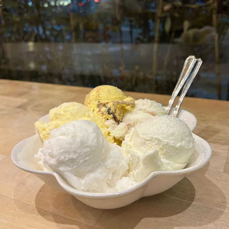 젤라떼리아 사진