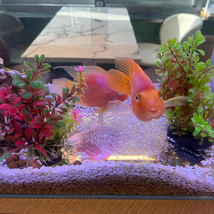 여기카페 대표 사진