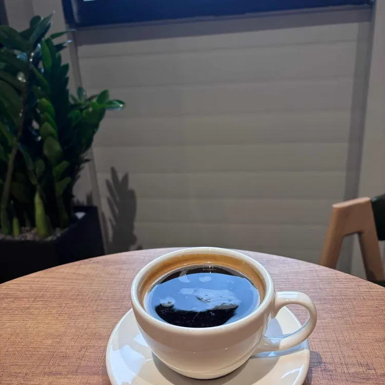 더 논치크 대표 사진