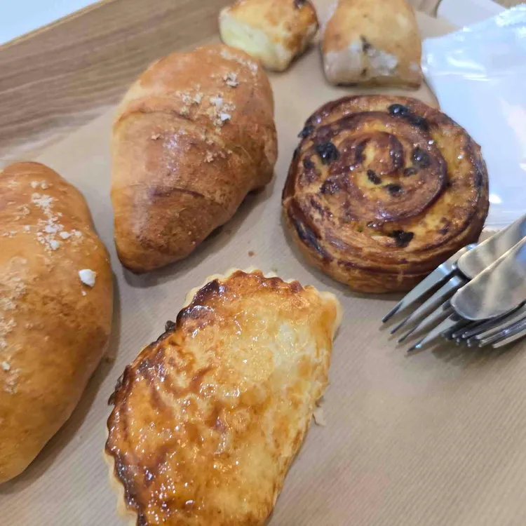 라미 대표 사진