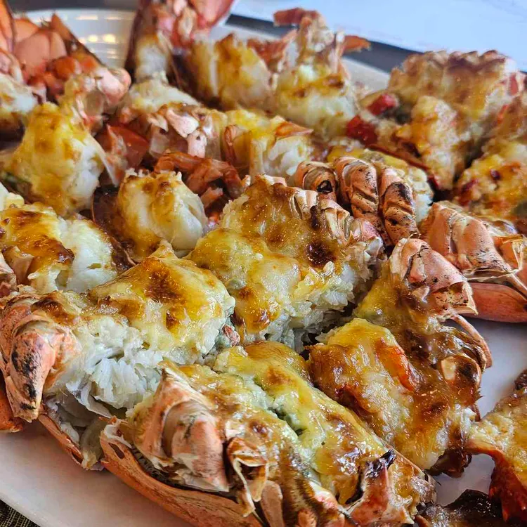 노바랍스터 대표 사진