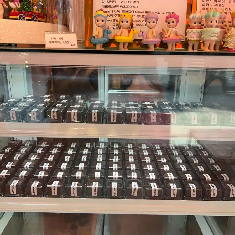 코랄밸리 대표 사진