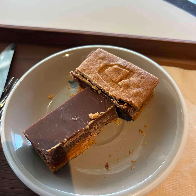 코야드 대표 사진