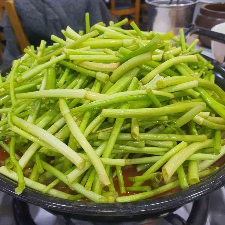 등촌샤브칼국수 사진