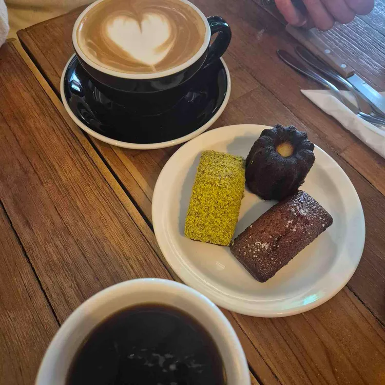 쿨키즈네버다이 사진