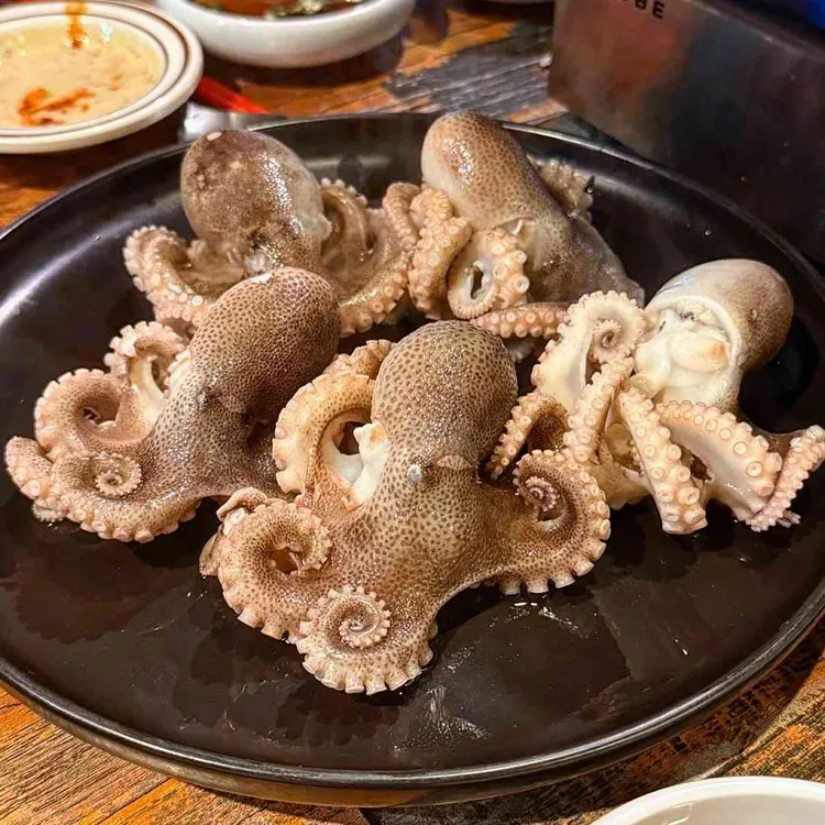 제육의 법칙 대표 사진