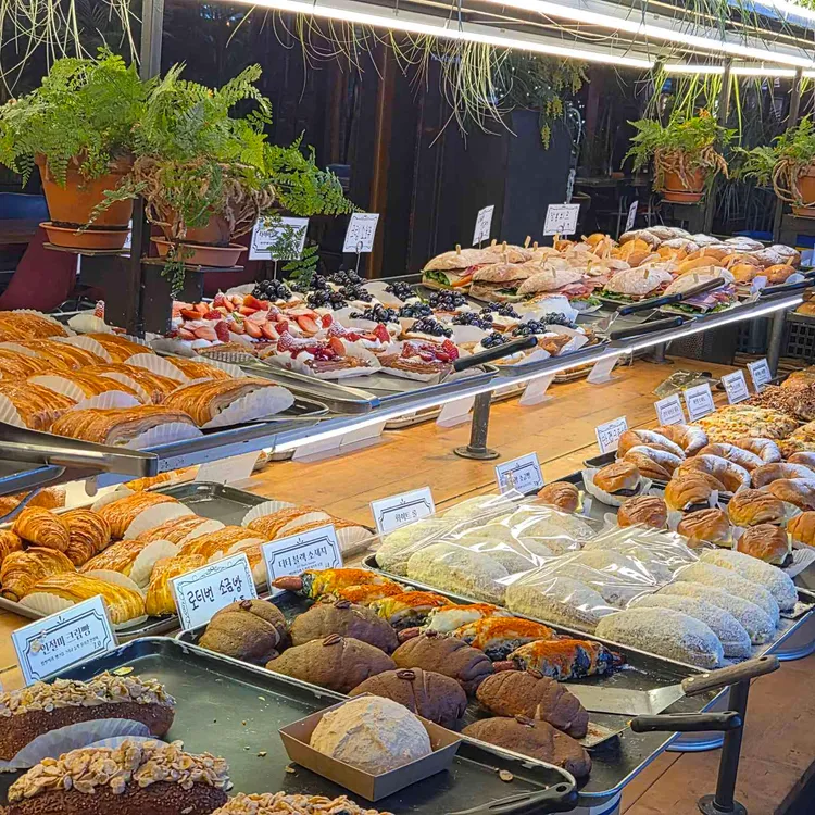 더티 트렁크 사진