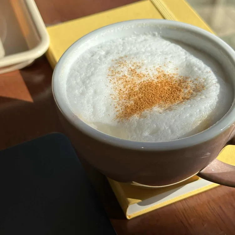 코지모리 대표 사진