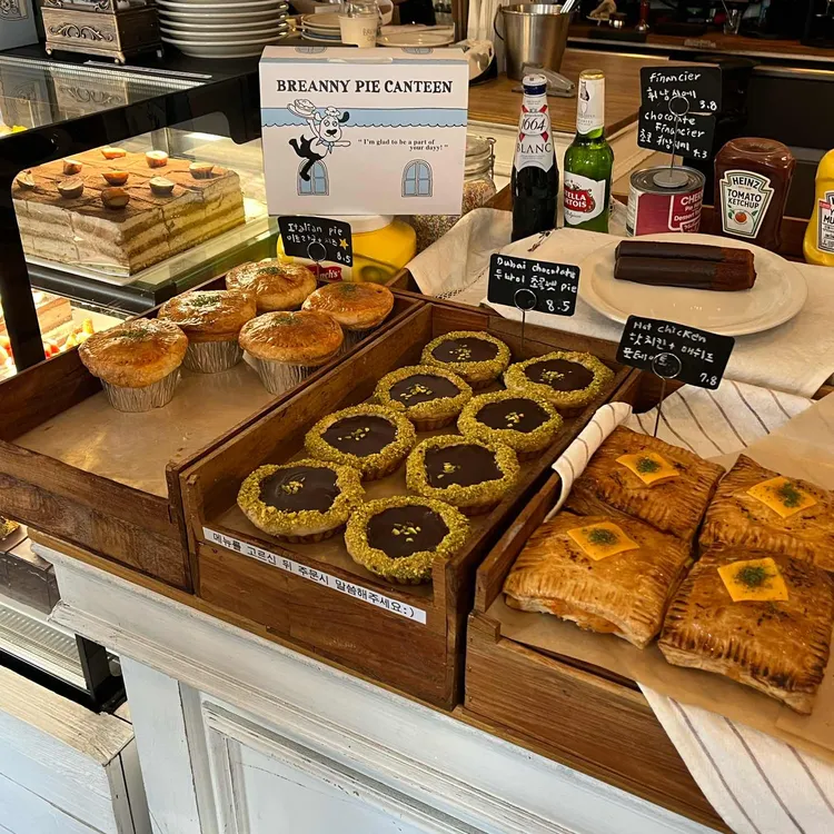 브레니파이칸틴 사진