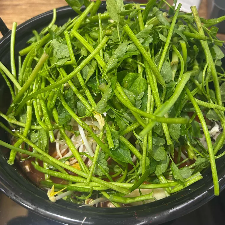 등촌샤브칼국수 사진