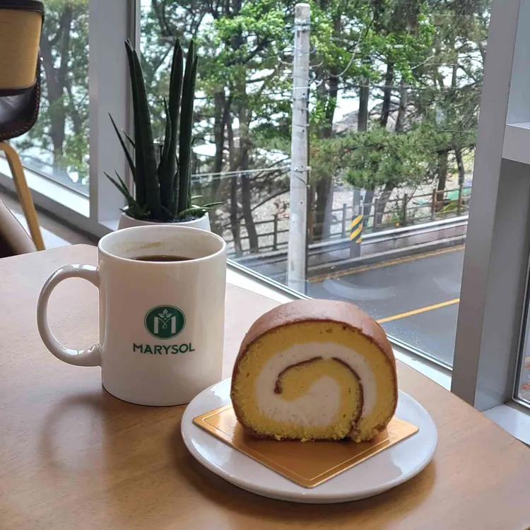 동백마리솔 대표 사진