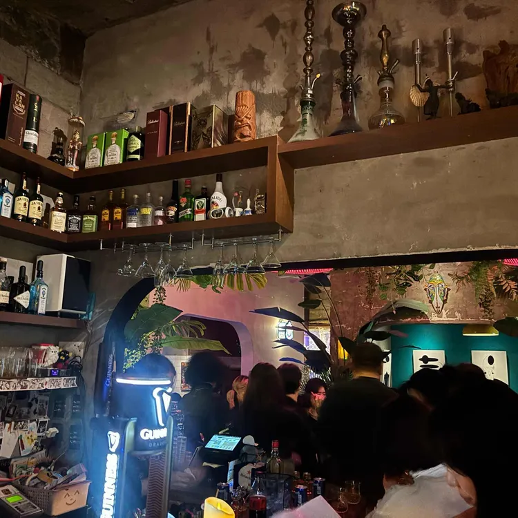 뎅기피버 대표 사진