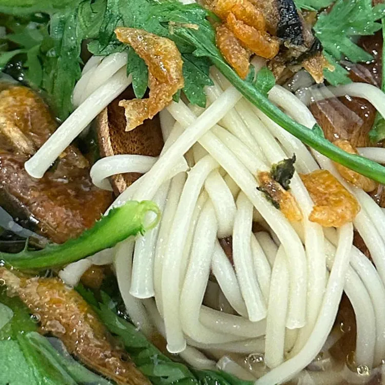 파시 대표 사진