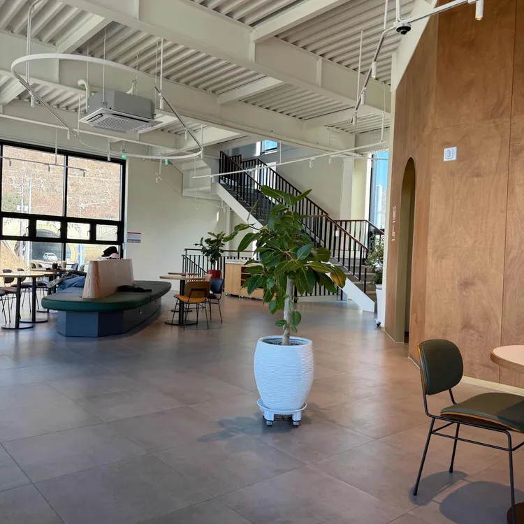 파스쿠찌 대표 사진